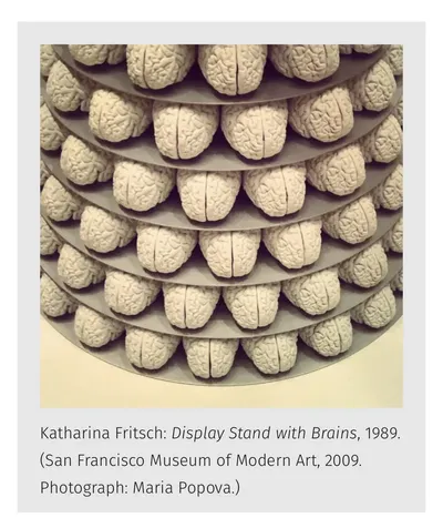 Consciousness, Artificial Intelligence, and Our Search for Meaning